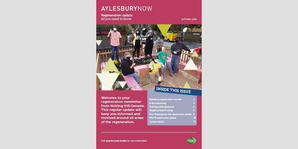 Regeneration update - autumn 2020 edition Picture 1